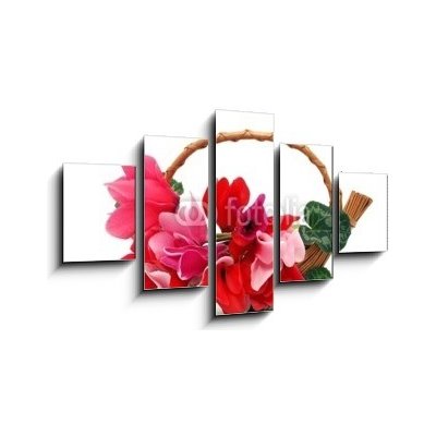 Obraz pětidílný 5D - 125 x 70 cm - Colourful cyclamen flowers in the basket Barevné květy kylama v koši – Hledejceny.cz