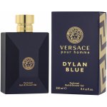 Versace Pour Homme Dylan Blue sprchový gel 250 ml – Hledejceny.cz