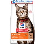 Hill's Feline Adult Lamb & Rice 1,5 kg – Sleviste.cz