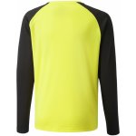 Puma Team Pacer dres s dlouhým rukávem GK LS Jersey Jr 70493942 – Zboží Dáma