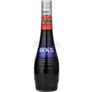 Bols Creme de Cacao Brown 24% 0,7 l (holá láhev)