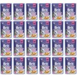 Brit Premium Cat Pouches Chicken Chunks for Kitten 24 x 100 g – Zboží Mobilmania