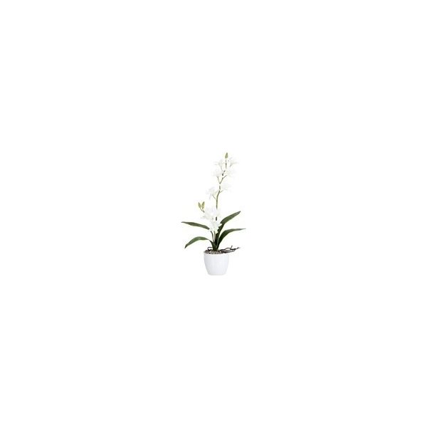 Květina Orchidej 60cm bílá (bez květináče) - Gasper