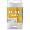 Fasádní barva Forte penetral 10 kg