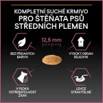 Pro Plan Medium Puppy Sensitive Skin losos 12 kg – Zbozi.Blesk.cz