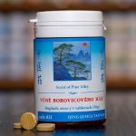 TCM Herbs Vůně borovicového háje 100 tablet – Hledejceny.cz