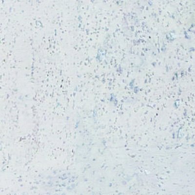 Korek Jelínek Corkline Standard White HRN KP0371 1,89 m² – Zbozi.Blesk.cz