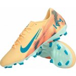 Nike Zoom Mercurial Vapor 16 Academy "Kylian Mbappé" FG/MG fq8377-801 – Hledejceny.cz
