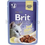 Brit cat Premium Fillets jelly Beef 85 g – Zboží Mobilmania