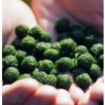 Cladophora aegagropila - Mechová koule 20 ks – Sleviste.cz