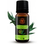 Day Spa BIO 100% Esenciální olej Eukalyptus citronový 10 ml – Hledejceny.cz
