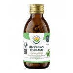 Salvia Paradise Jiaogulan Thailand kapsle 120 ks – Hledejceny.cz