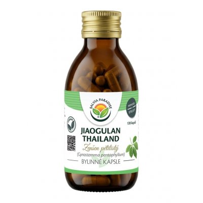 Salvia Paradise Jiaogulan Thailand kapsle 120 ks – Hledejceny.cz