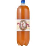 Stevikom Kombucha černý čaj 2 l – Zbozi.Blesk.cz