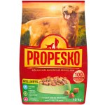 Propesko Wellness 10 kg – Zbozi.Blesk.cz