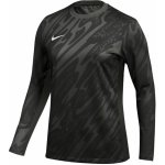 Nike Y NK DF GARDIEN V GK JSY LS černá – Hledejceny.cz