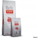 Brit Care Adult Activity All Breed Lamb & Rice 1 kg – Sleviste.cz