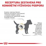 Royal Canin Veterinary Health Nutrition Adult Dog Urinary S/O Small Chicken 4 kg – Zboží Mobilmania