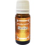 Medistar Skořice 100% přírodní esenciální olej 250 ml – Hledejceny.cz