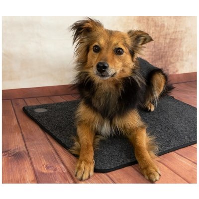 Thermodog Výhřevná podložka pro psy 3523000 topný koberec 40x60 cm – Zboží Mobilmania