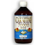 Nutristar Carnitine 70000 500 ml – Zboží Dáma
