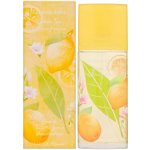 Elizabeth Arden Green Tea Honeysuckle toaletní voda dámská 100 ml – Hledejceny.cz