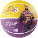 Spalding NBA player ball Lebron James