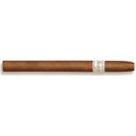 Davidoff Exquisitos 20 ks – Zboží Dáma