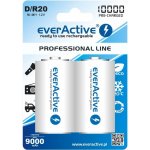 everActive professional line D 10000mAh 2ks EVHRL20-10000 – Zboží Mobilmania