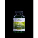 Swanson Chasteberry Fruit Drmek obecný 400 mg 120 kapslí – Hledejceny.cz