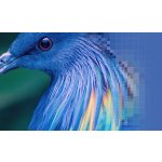 Sony Bravia XR-65X95K – Zboží Živě
