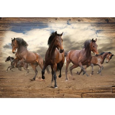 Postershop Fototapeta vliesová: Koně 3 rozměry 184x254 cm – Zboží Mobilmania