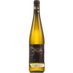 Vinařství Pfeffer Muškát moravský 2018 kabinetní polosuché 12,5% 0,75 l (holá láhev) – Hledejceny.cz