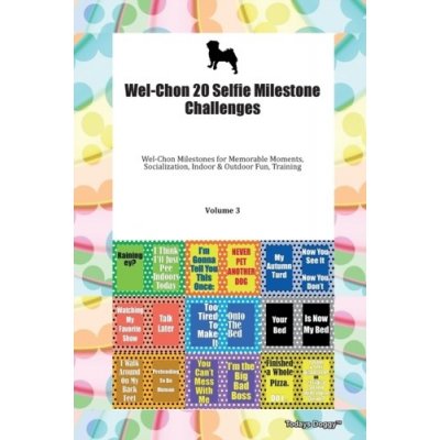 Wel-Chon 20 Selfie Milestone Challenges Wel-Chon Milestones for Memorable Moments, Socialization, Indoor a Outdoor Fun, Training Volume 3
