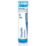 COLOCYNTHIS POR 9CH GRA 1X4G – Hledejceny.cz