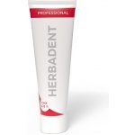Herbai HERBADENT PROFESSIONAL s 0,12 % CHX 40 g – Zbozi.Blesk.cz