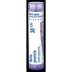 BELLIS PERENNIS POR 30CH GRA 4G – Hledejceny.cz