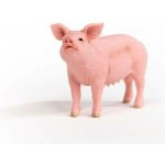 Schleich 13933 Pig – Zboží Mobilmania