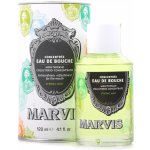 Marvis Spearmint 120 ml – Zboží Mobilmania
