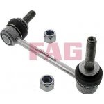 Schaeffler FAG Tyč/vzpěra, stabilizátor 818049610