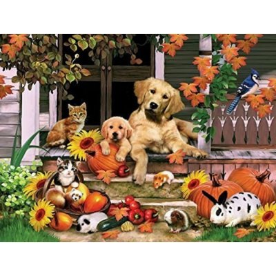 Norimpex Diamantové malování Podzimní zábava 30 x 40 cm – Hledejceny.cz
