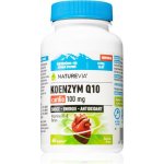 Naturvia Koenzym Q10 Cardio 100 mg 60 kapslí – Hledejceny.cz