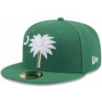 New Era MiLB Theme Nights 59FIFTY Myrtle Beach Pelicans Team Color – Zboží Mobilmania