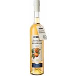 R. Jelínek Starovická Meruňkovice 2019 42% 0,7 l (holá láhev) – Zboží Dáma