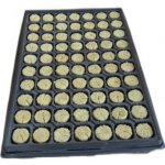 Begrow sadbovací plug 36 x 40 mm v sadbovači 70 ks – Hledejceny.cz
