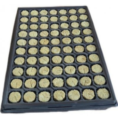 Begrow sadbovací plug 36 x 40 mm v sadbovači 70 ks – Hledejceny.cz