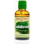 Bylinné kapky Kadidlovník Olibanum Boswelie tinktura 50 ml – Hledejceny.cz