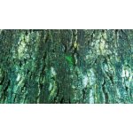 Trixie plyš pták s nathovacím krkem a zvukem 30 cm – Sleviste.cz