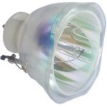 Lampa pro projektor Acer EC.J0501.001, kompatibilní lampa bez modulu – Hledejceny.cz