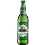 Holba 10 Horská světlé výčepní 4,2% 0,5 l (sklo) – Sleviste.cz